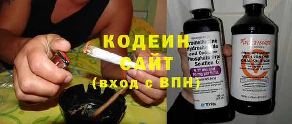 ECSTASY Ельня