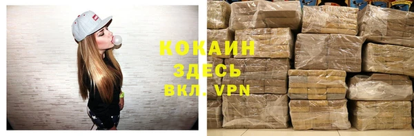 ECSTASY Ельня