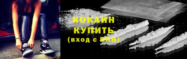ECSTASY Ельня