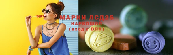 ECSTASY Ельня