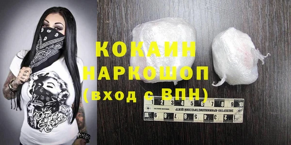 ECSTASY Ельня