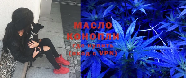ECSTASY Ельня
