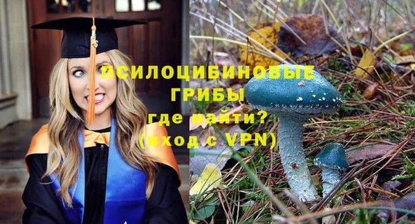 МДПВ Елабуга