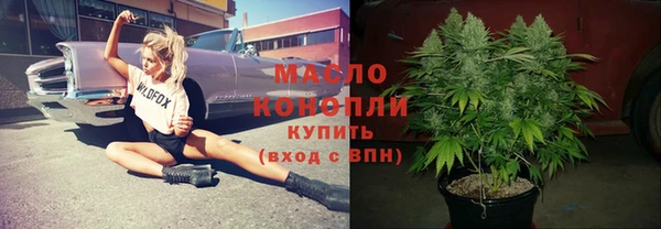 ECSTASY Ельня